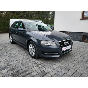Audi A3  Hatchback 2010,  2.0 diesel - Na sprzedaż za 29 500 zł - Jatutów - zdjęcie 4