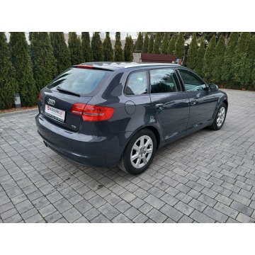 Audi A3  Hatchback 2010,  2.0 diesel - Na sprzedaż za 29 500 zł - Jatutów - zdjęcie 7