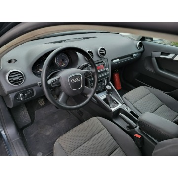 Audi A3  Hatchback 2010,  2.0 diesel - Na sprzedaż za 29 500 zł - Jatutów - zdjęcie 9