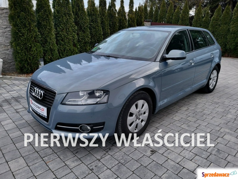 Audi A3  Hatchback 2011,  1.6 diesel - Na sprzedaż za 30 900 zł - Jatutów