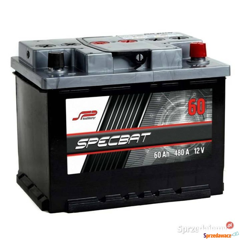 Akumulator Specbat 60Ah 480A Specpart Słuspk - Akumulatory - Słupsk