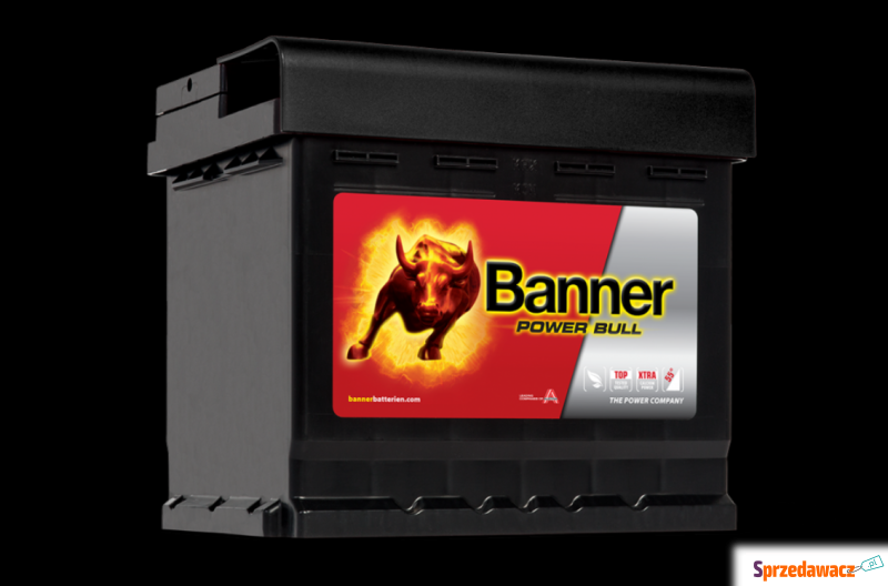 Akumulator 50Ah 450A EN Banner...