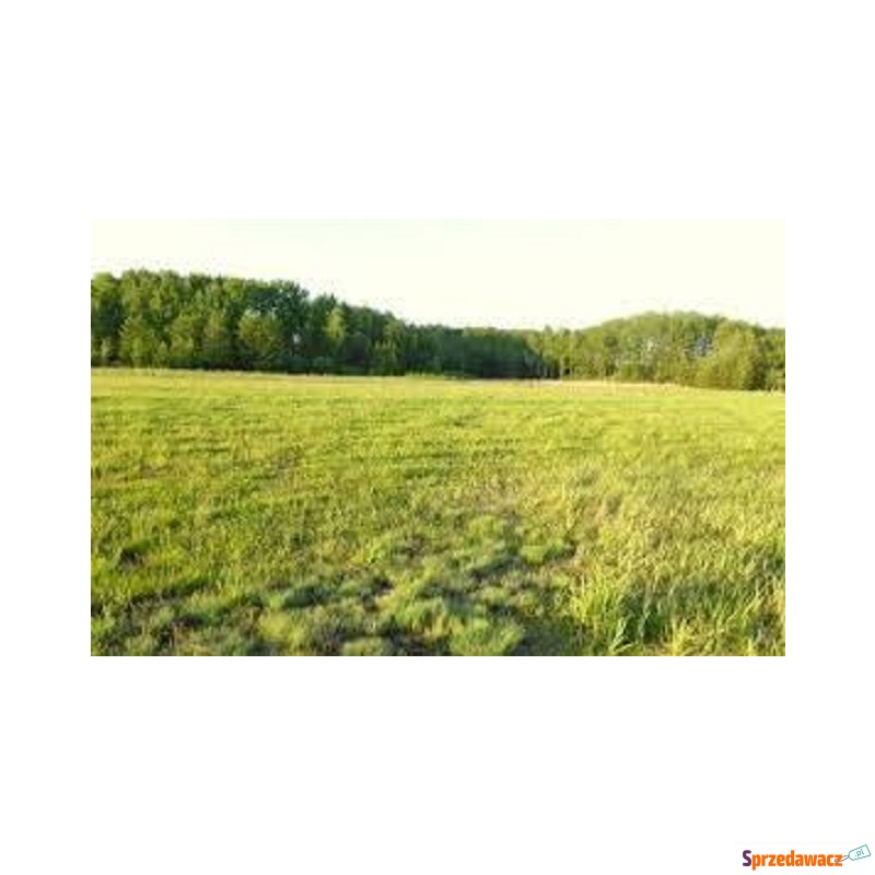 Działka Budowlana (1000 m2) ok...