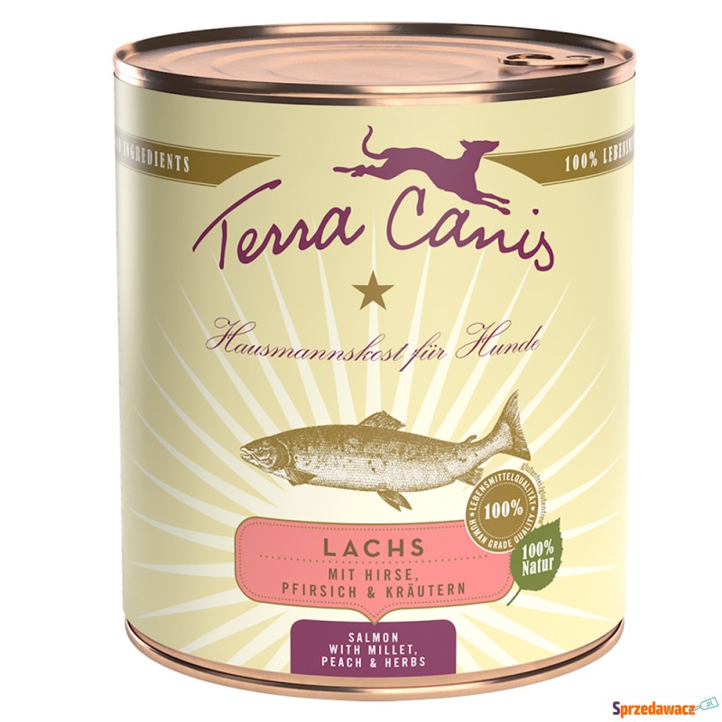 Terra Canis, 6 x 800 g - Łosoś...