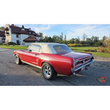 Ford Mustang  Kabriolet 1967 benzyna, automat - Na sprzedaż za 160 000 zł - Bochnia - zdjęcie 6