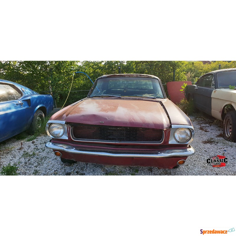 Ford Mustang 1965 benzyna - Na sprzedaż za 29 000 zł - Bochnia