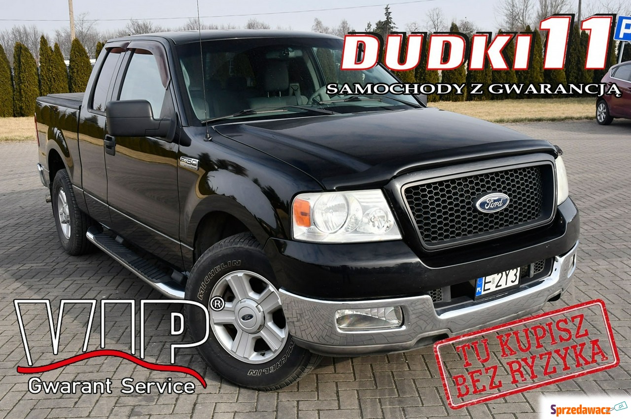 Ford F150 2004