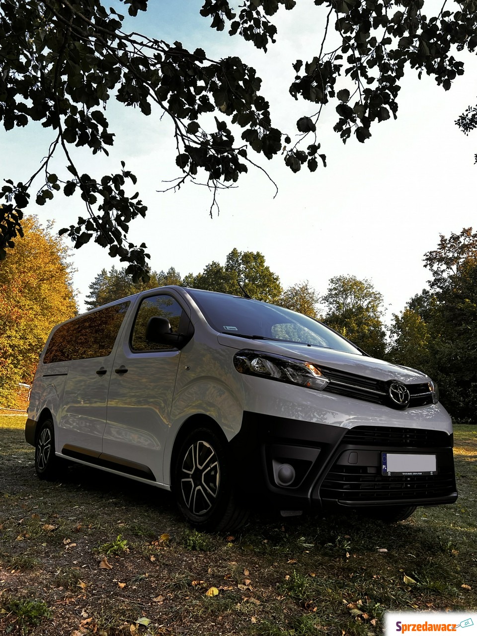 Toyota ProAce 2022