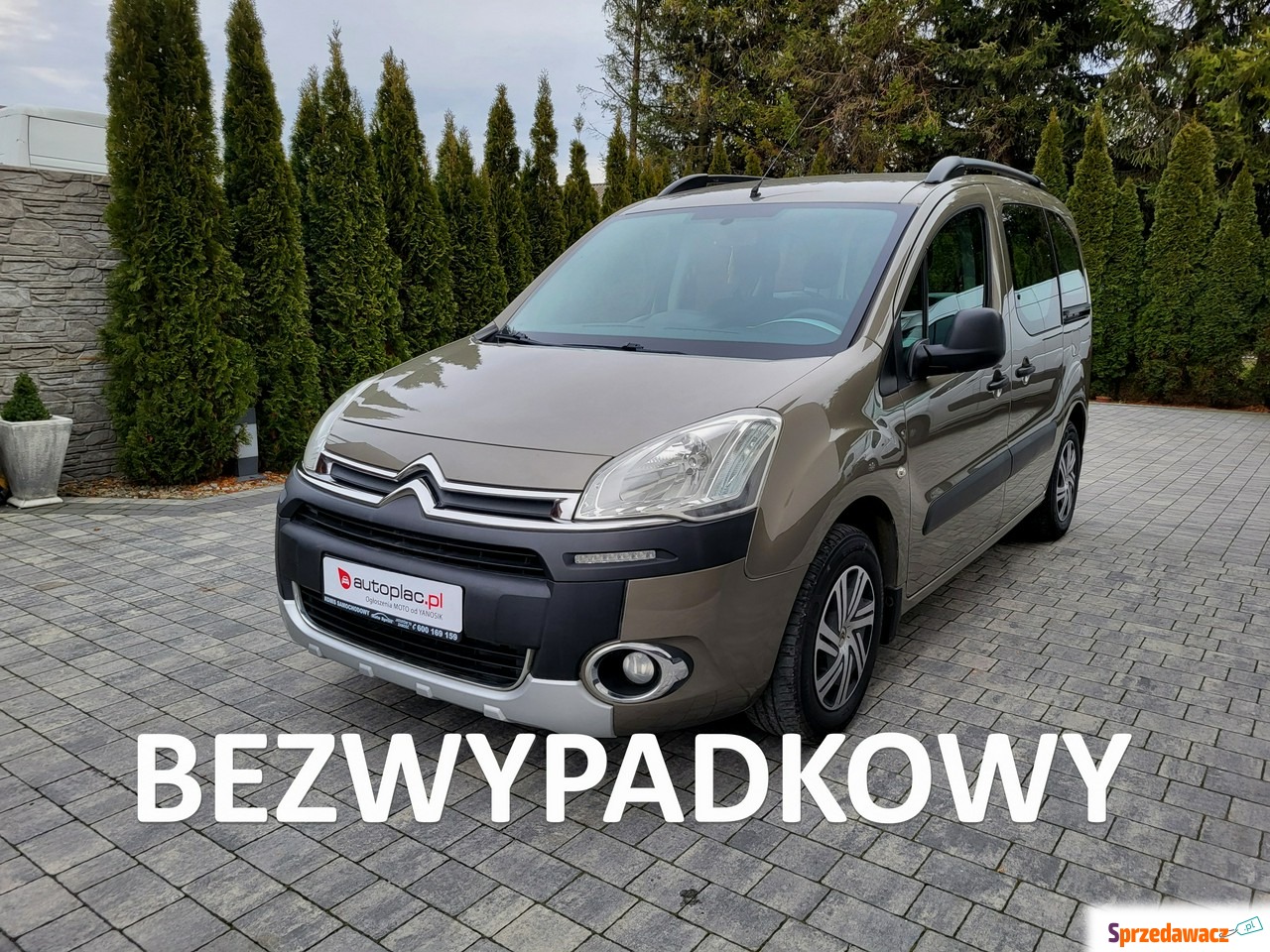 Citroen Berlingo 2012