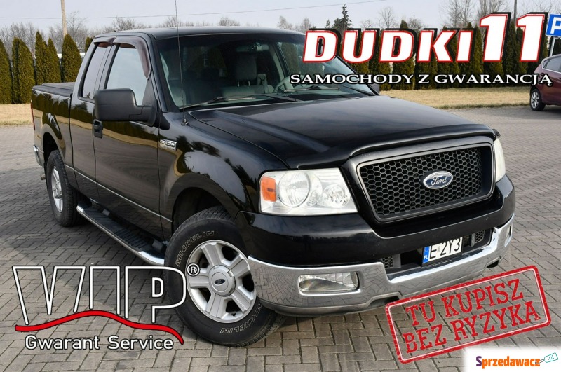 Ford F150 2004,  5.4 benzyna, automat - Na sprzedaż za 48 900 zł - Kutno