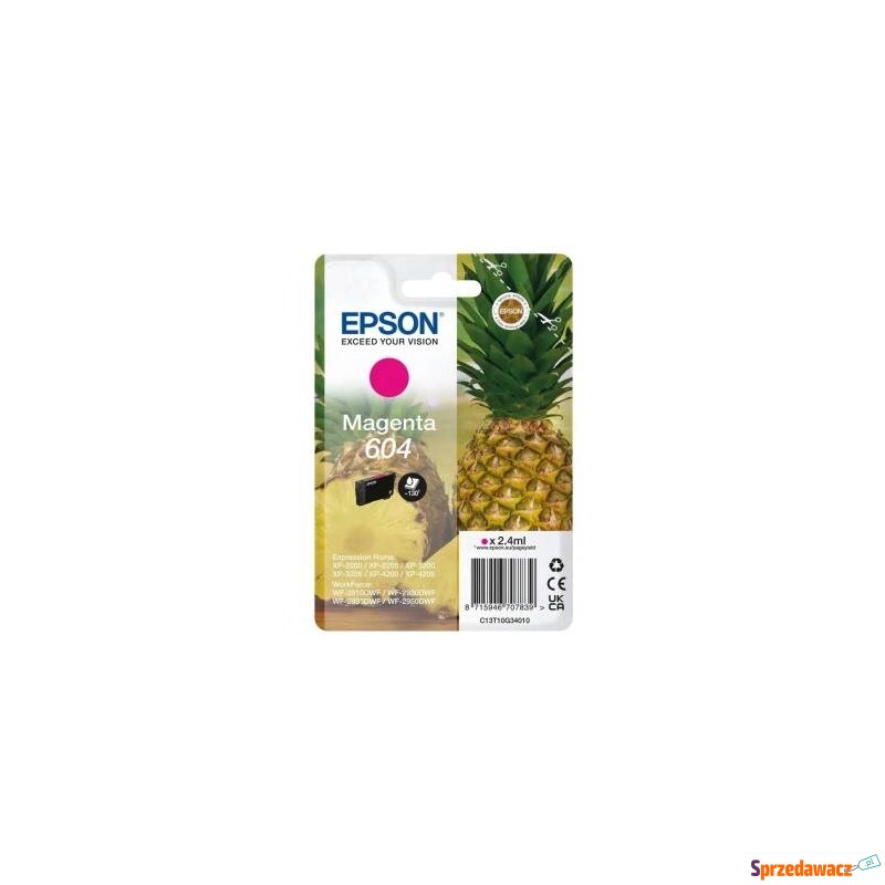 Tusz Oryginalny Epson 604 (C13...