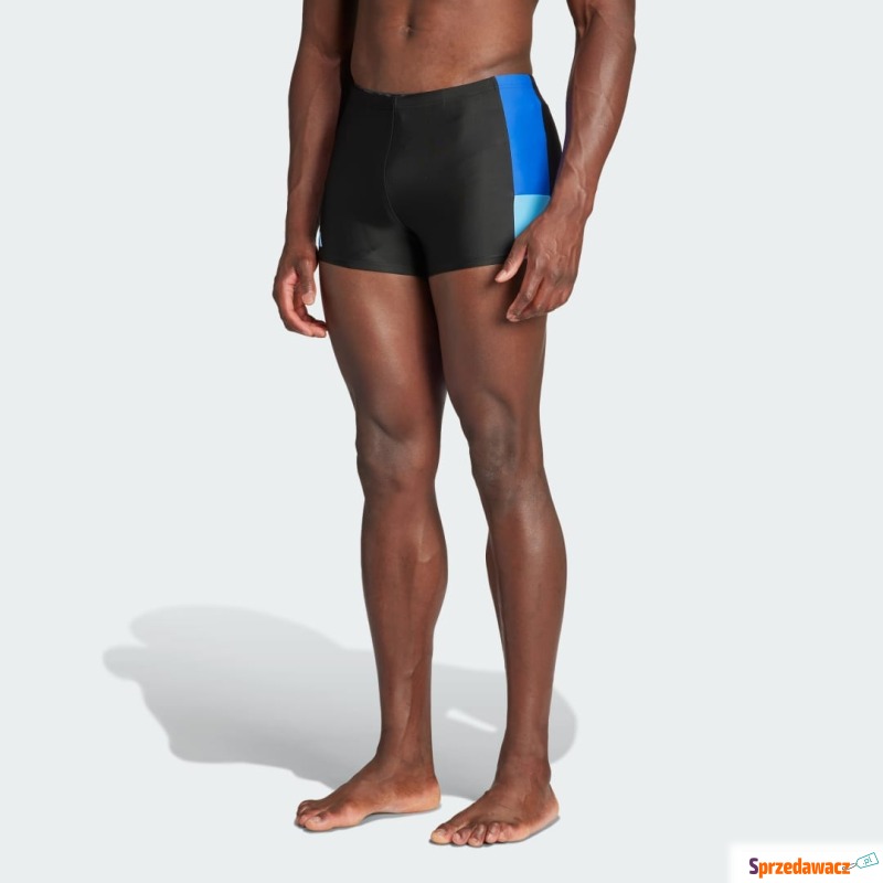 Bokserki Colorblock Swim - Stroje kąpielowe damskie - Łowicz