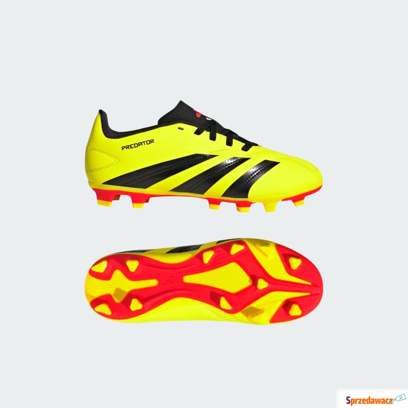 Buty Predator 24 Club FXG - Buty do piłki nożnej - Bydgoszcz
