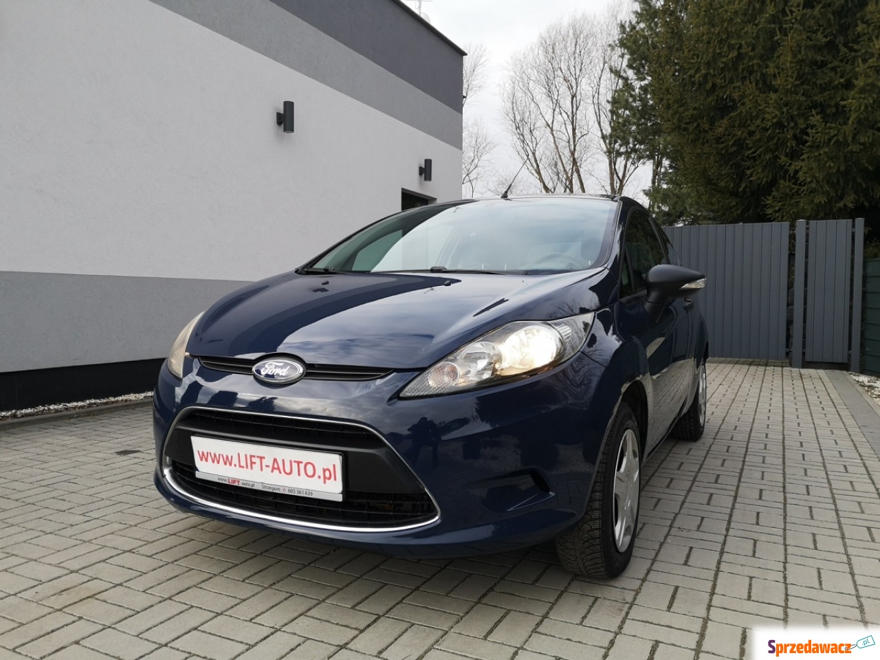 Ford Fiesta 2009