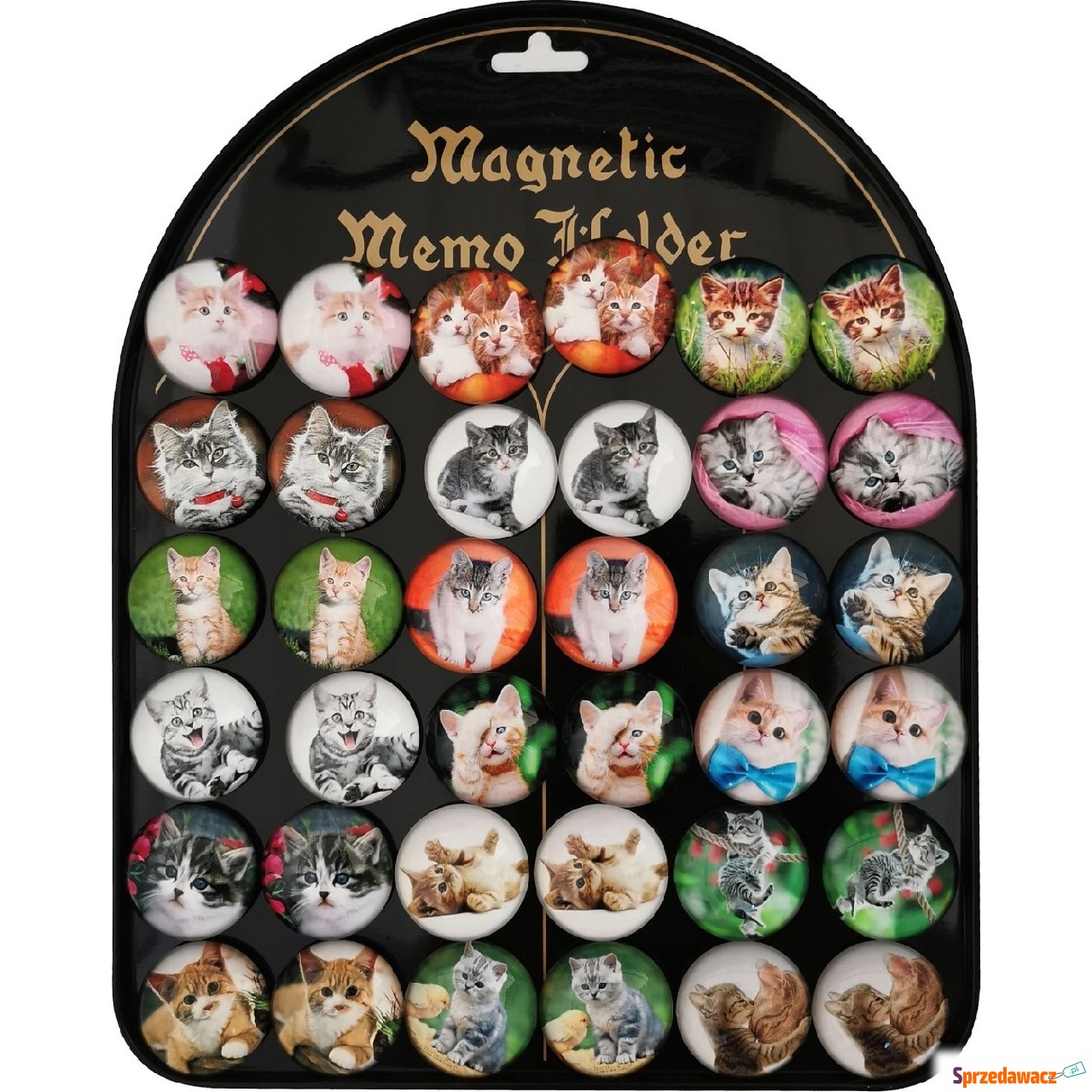 Magnesy Koty okrągłe 3,5cm 36...