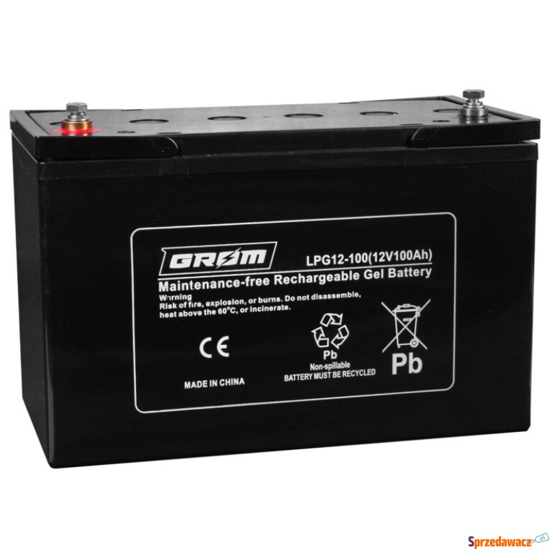 Akumulator żelowy GROM 12V 100Ah...