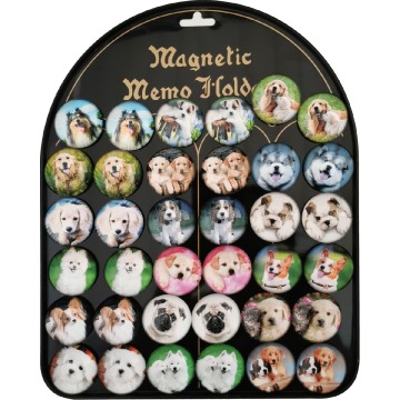 Magnesy Psy okrągłe 3,5cm 36 sztuk blacha