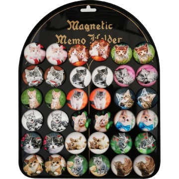 Magnesy Koty okrągłe 3,5cm 36 sztuk blacha