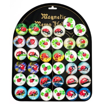 Magnesy Biedronki okrągłe 3,5cm 36 sztuk blacha