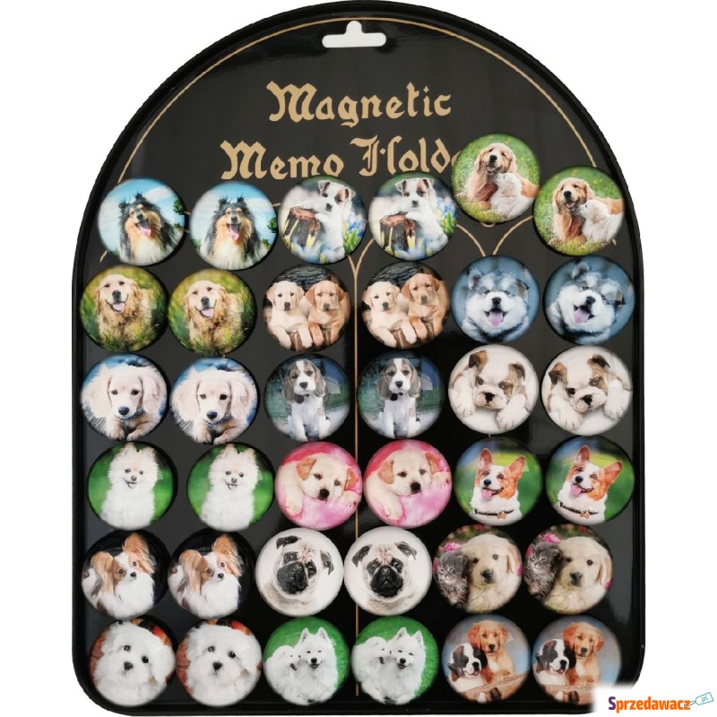 Magnesy Psy okrągłe 3,5cm 36 sztuk blacha - Artykuły papiernicze... - Zielona Góra