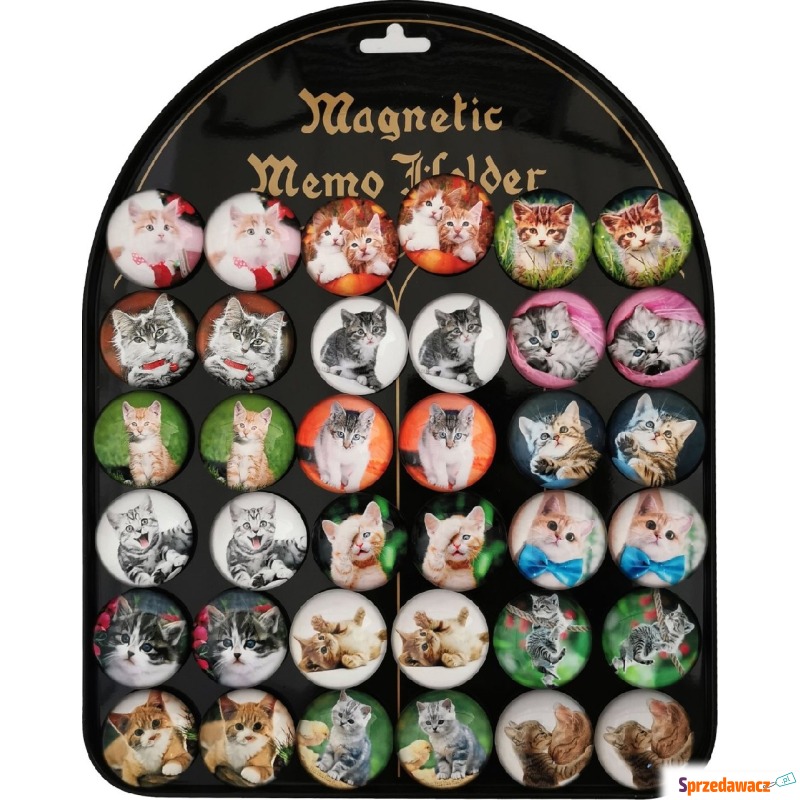 Magnesy Koty okrągłe 3,5cm 36 sztuk blacha - Artykuły papiernicze... - Ostrołęka