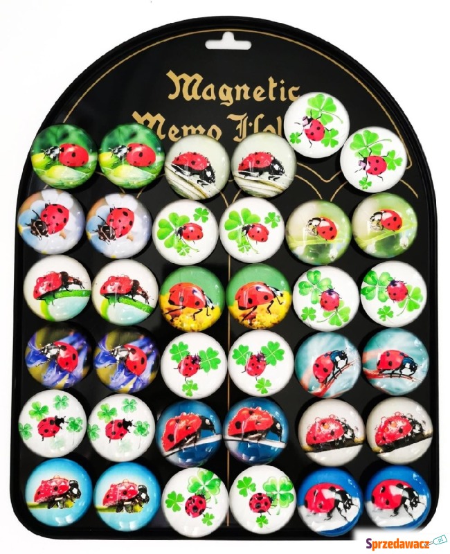 Magnesy Biedronki okrągłe 3,5cm 36 sztuk blacha - Artykuły papiernicze... - Łódź