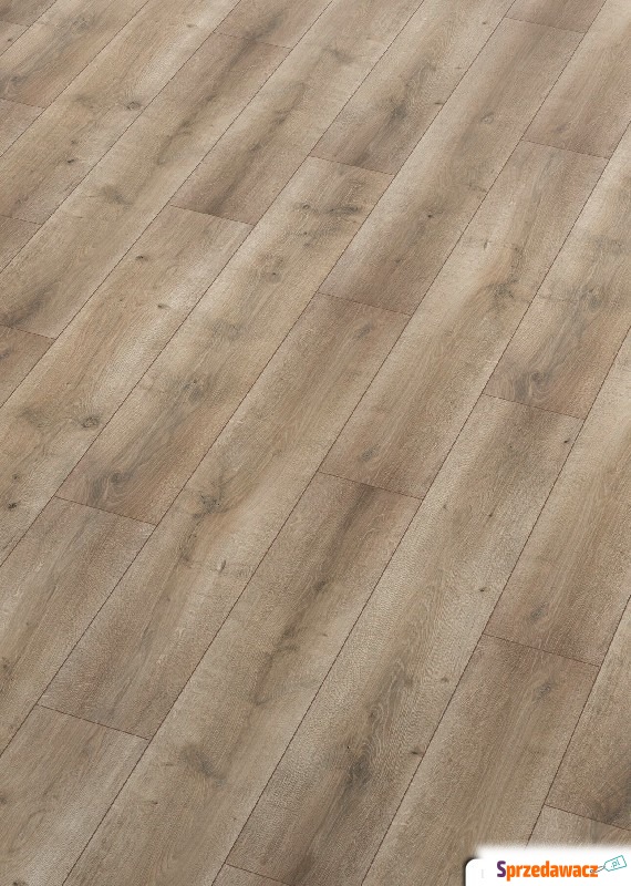 Panele laminowane ter Hürne Dąb...