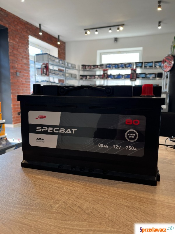 Akumulator 80ah 750a agm Specbat start&stop - Akumulatory - Augustów