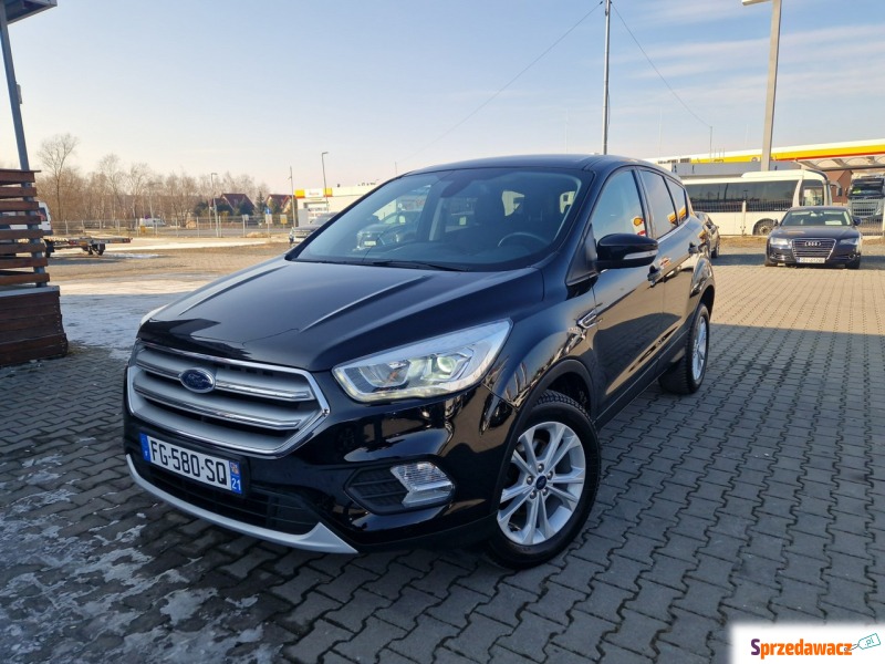 Ford Kuga  SUV 2019,  1.5 diesel, automat - Na sprzedaż za 64 900 zł - Żory