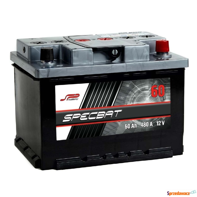 Akumulator 60Ah 520A Specbat D...