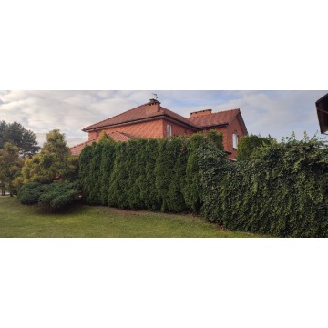 Sprzedam dom Kozienice -  wolnostojący trzypiętrowy,  pow.  450 m2,  działka:   1100 m2 - zdjęcie 7