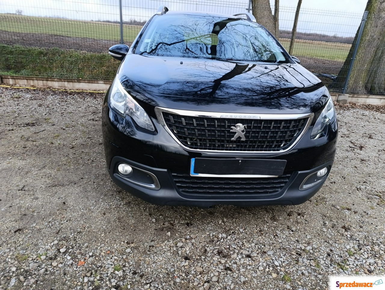 Peugeot 2008 2018