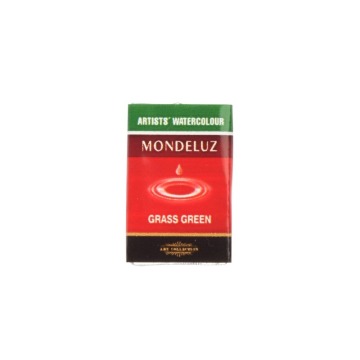 KIN FARBA AKW. MONDELUZ 1636717 GRASS GREEN 717  8 G.