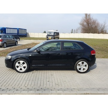 Audi A3  Hatchback 2004,  2.0 diesel - Na sprzedaż za 8 999,00 zł - Strobice - zdjęcie 3