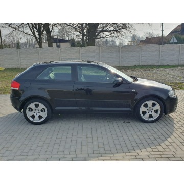 Audi A3  Hatchback 2004,  2.0 diesel - Na sprzedaż za 8 999,00 zł - Strobice - zdjęcie 10