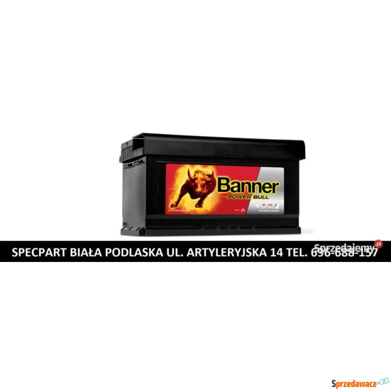 Akumulator 80Ah 700A Banner Power Bull - Akumulatory - Biała Podlaska