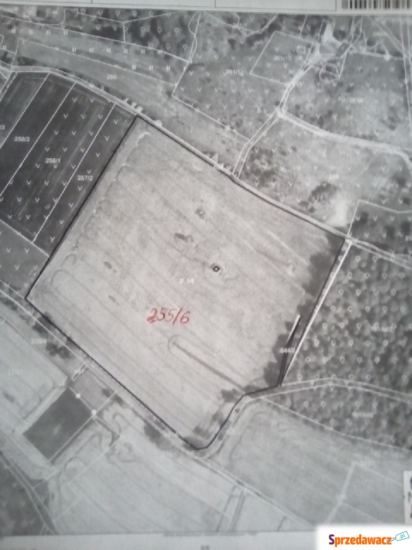 Działka rolno-budowlana Zgorzelec sprzedam, pow. 83 000 m2  (8.3ha), uzbrojona
