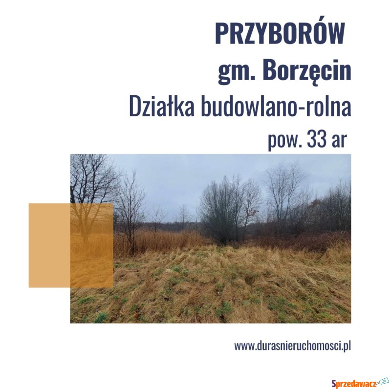 Przyborów gm. Borzęcin działka...