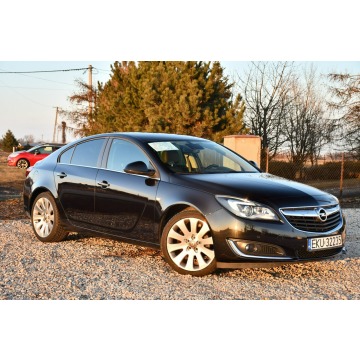 Opel Insignia  Liftback 2016,  1.6 diesel - Na sprzedaż za 32 999 zł - Nowe Sójki - zdjęcie 10
