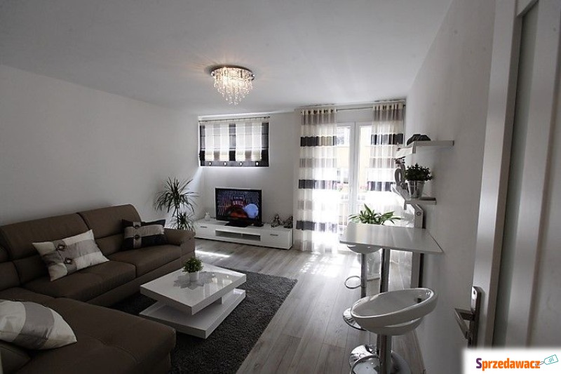 Mieszkanie dwupokojowe Wrocław - Stare Miasto,   40 m2, pierwsze piętro - Do wynajęcia