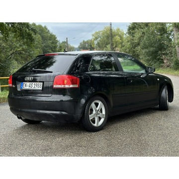 Audi A3  Hatchback 2007,  1.8 benzyna - Na sprzedaż za 12 900 zł - Stare Miasto - zdjęcie 7