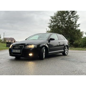 Audi A3  Hatchback 2007,  1.8 benzyna - Na sprzedaż za 12 900 zł - Stare Miasto - zdjęcie 2