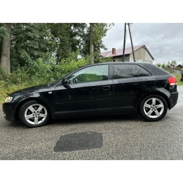 Audi A3  Hatchback 2007,  1.8 benzyna - Na sprzedaż za 12 900 zł - Stare Miasto - zdjęcie 4