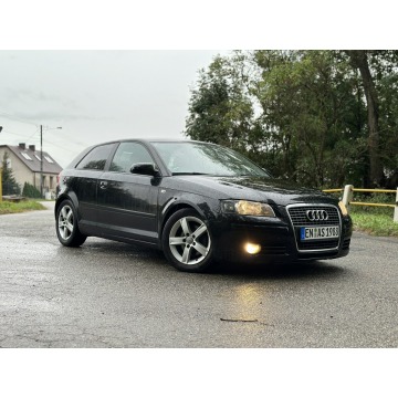 Audi A3  Hatchback 2007,  1.8 benzyna - Na sprzedaż za 12 900 zł - Stare Miasto - zdjęcie 8