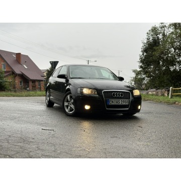 Audi A3  Hatchback 2007,  1.8 benzyna - Na sprzedaż za 12 900 zł - Stare Miasto - zdjęcie 9