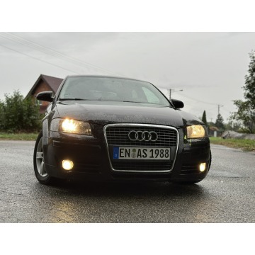 Audi A3  Hatchback 2007,  1.8 benzyna - Na sprzedaż za 12 900 zł - Stare Miasto - zdjęcie 10