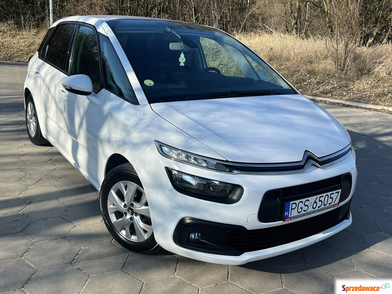 Citroen C4 SpaceTourer 2019
