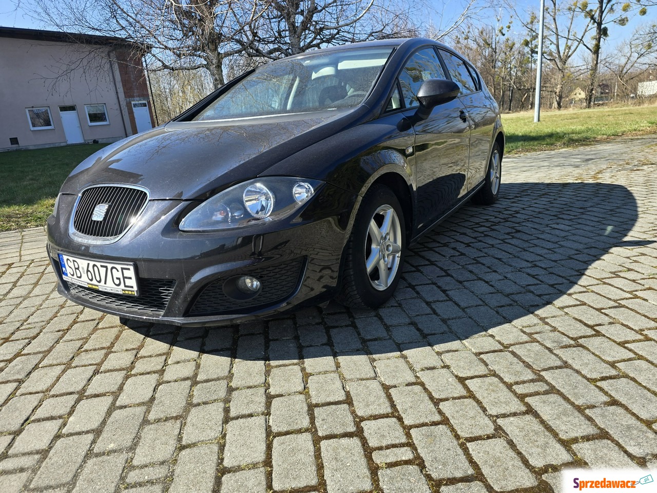 Seat Leon 2010