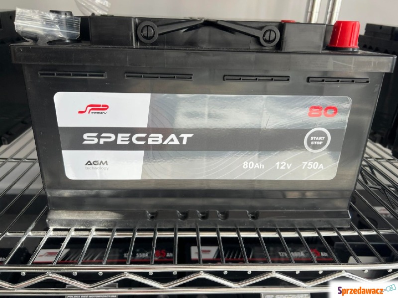 Akumulator AGM 12V 80Ah 750A Specbat - Akumulatory - Piekary Śląskie