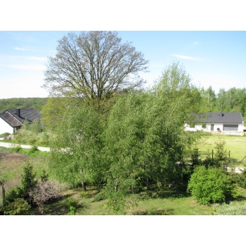 Działka budowlana Miodary sprzedam, pow. 2052 m2  (20.5a), uzbrojona - zdjęcie 5